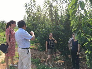 西北农林科技大学园艺学院 农业园艺服务的创新与实践