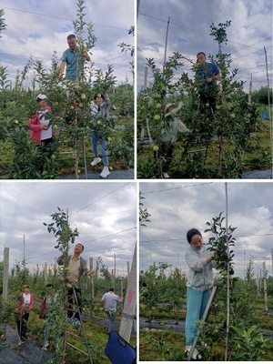 党建引领强服务 道德讲堂润初心——宝鸡市园艺站开展道德讲堂及主题党日活动