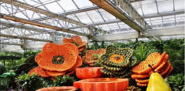 一腔热血的“田园梦”如何变为“失乐园”？——河南某农旅项目失败案例剖析