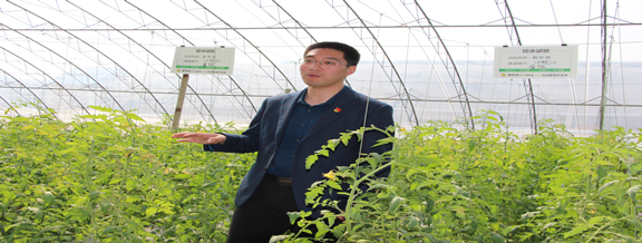 寿光采访记 种子的“革命”与农业园艺服务的现代化转型