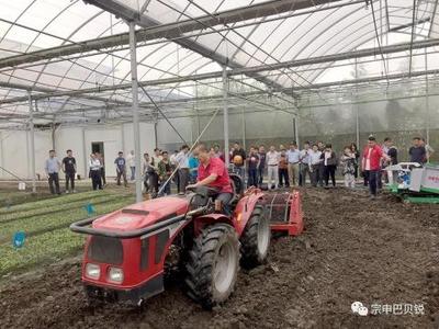 实力出击！山地王闪耀上海市新型蔬菜机械演示会，引领农业园艺服务新篇章