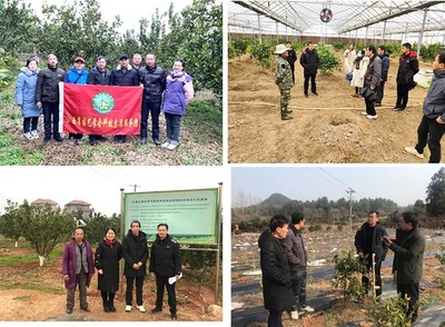 科技助力有作为 情系园艺显担当——江西省园艺学会科技服务纪实