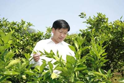 对话双一流 华中农业大学园艺学科，以科技赋能农业园艺服务