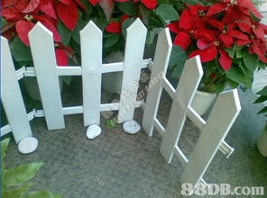 绿森林园艺 一站式专业园艺服务专家