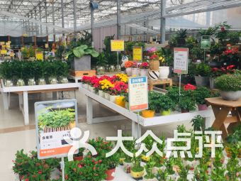 无锡购物新风尚 农业园艺服务的绿色消费体验