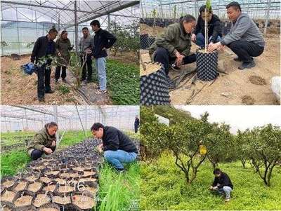 科技春风吹进湘西 园艺专家田间地头助春耕