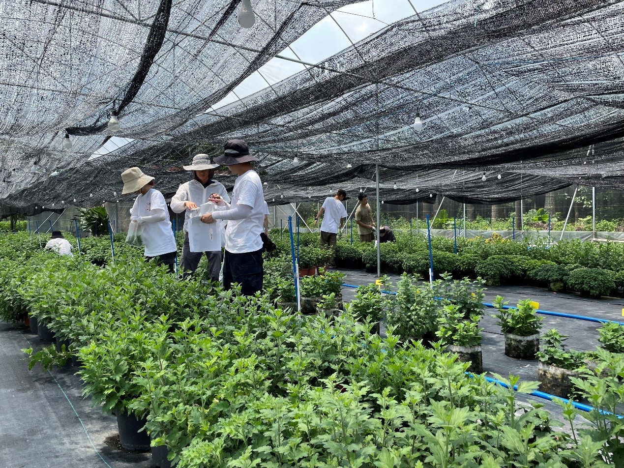 园艺园林学院21级学硕班 在春日田野中探求育种真知——记春季学期植物育种课程实践活动