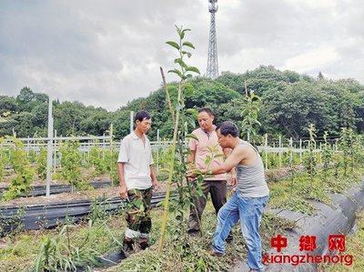 青年教师不能做服务&ldquo;三农&rdquo;的局外人