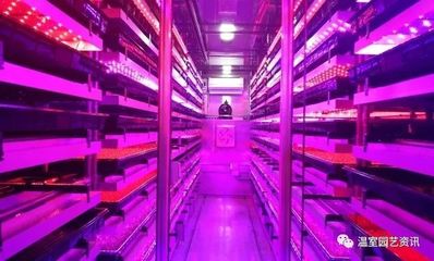 号外 | 山东农业大学成功申办第八届中日韩设施园艺与植物工厂学术研讨会!